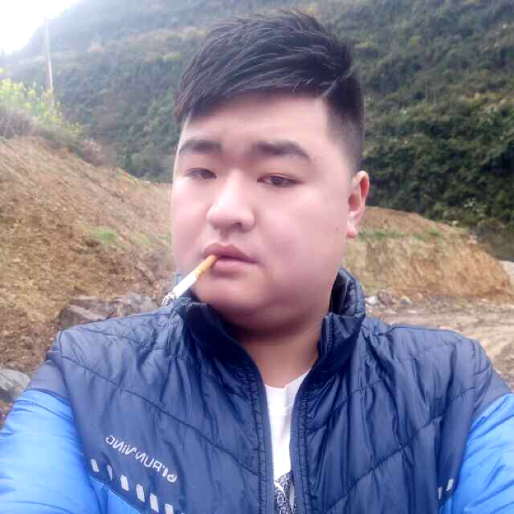 虚幻用小蚂蚁的照片
