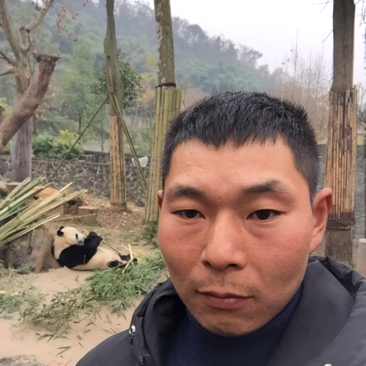 杨。 的照片