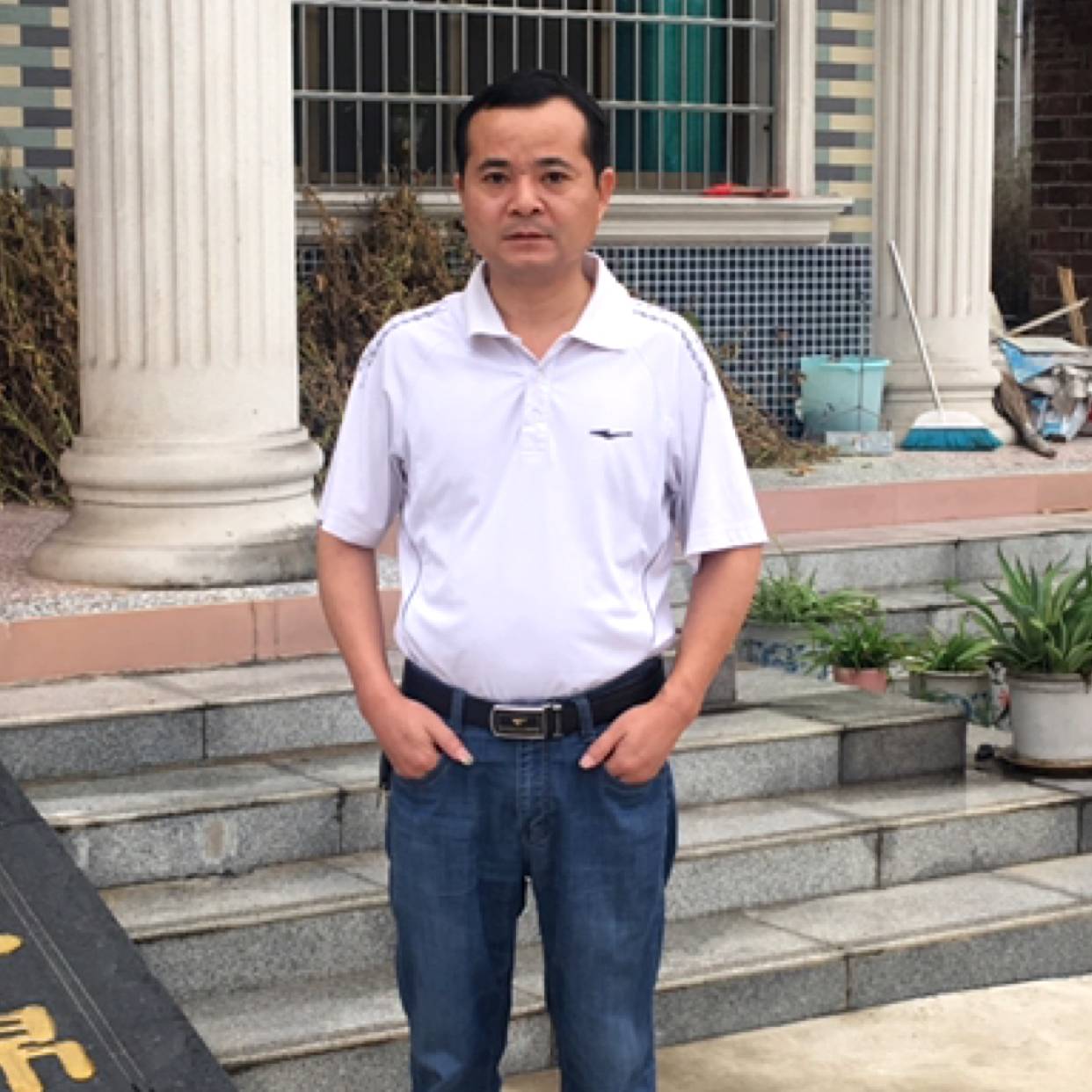 难过停止灰狼的照片