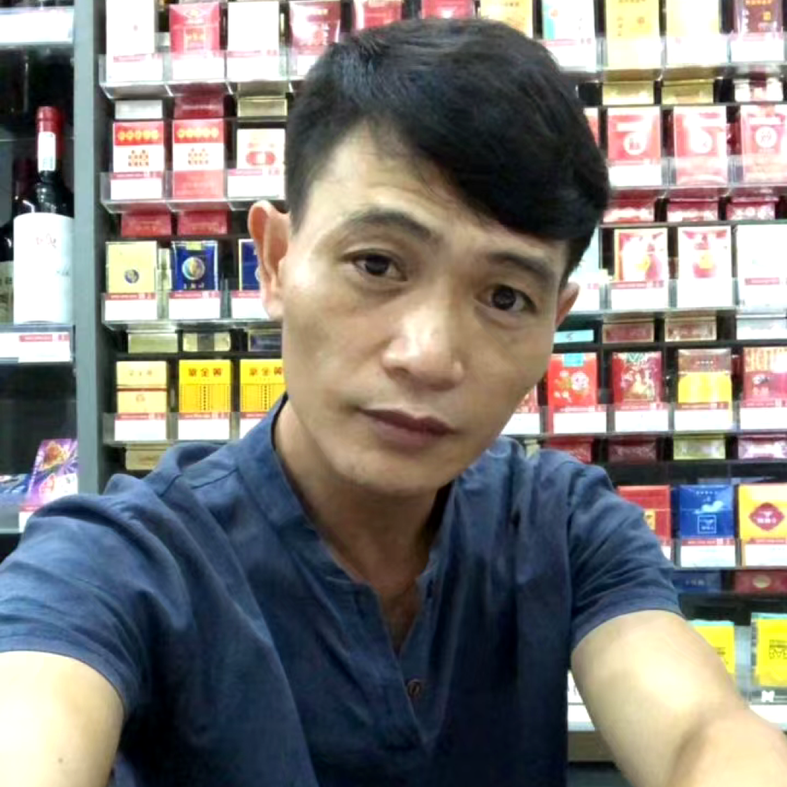 舒适演变向日葵的照片