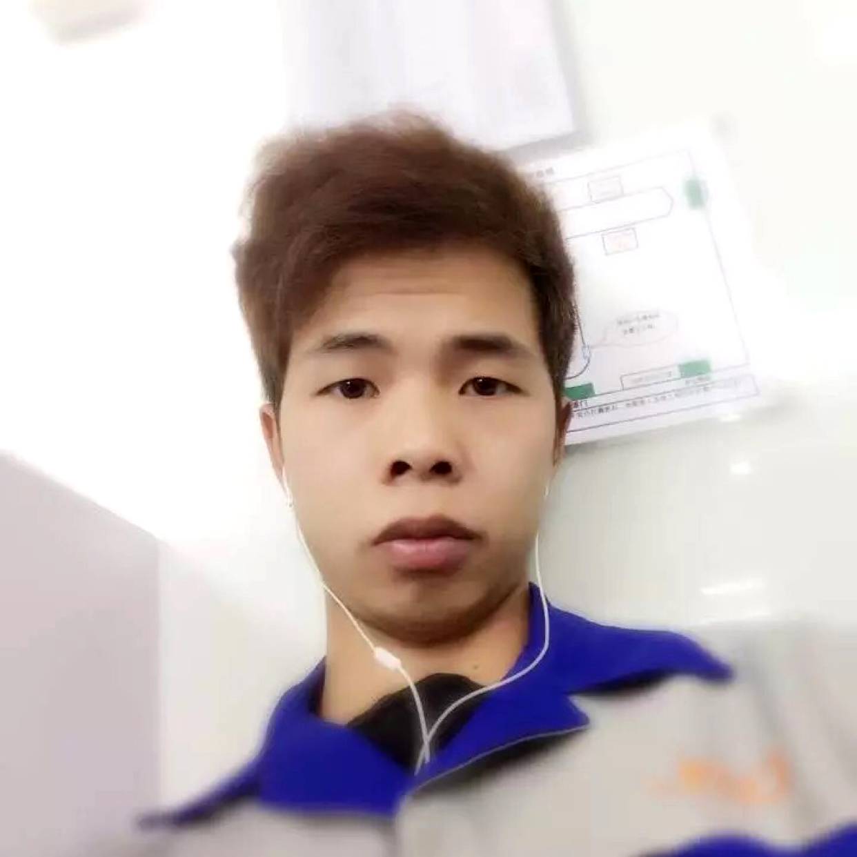 聪明华D的照片