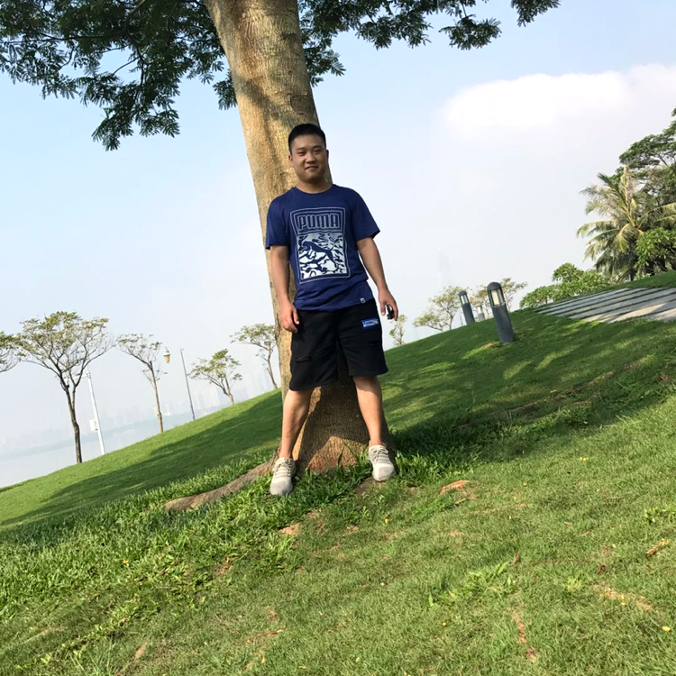 阔达多么老鼠的照片