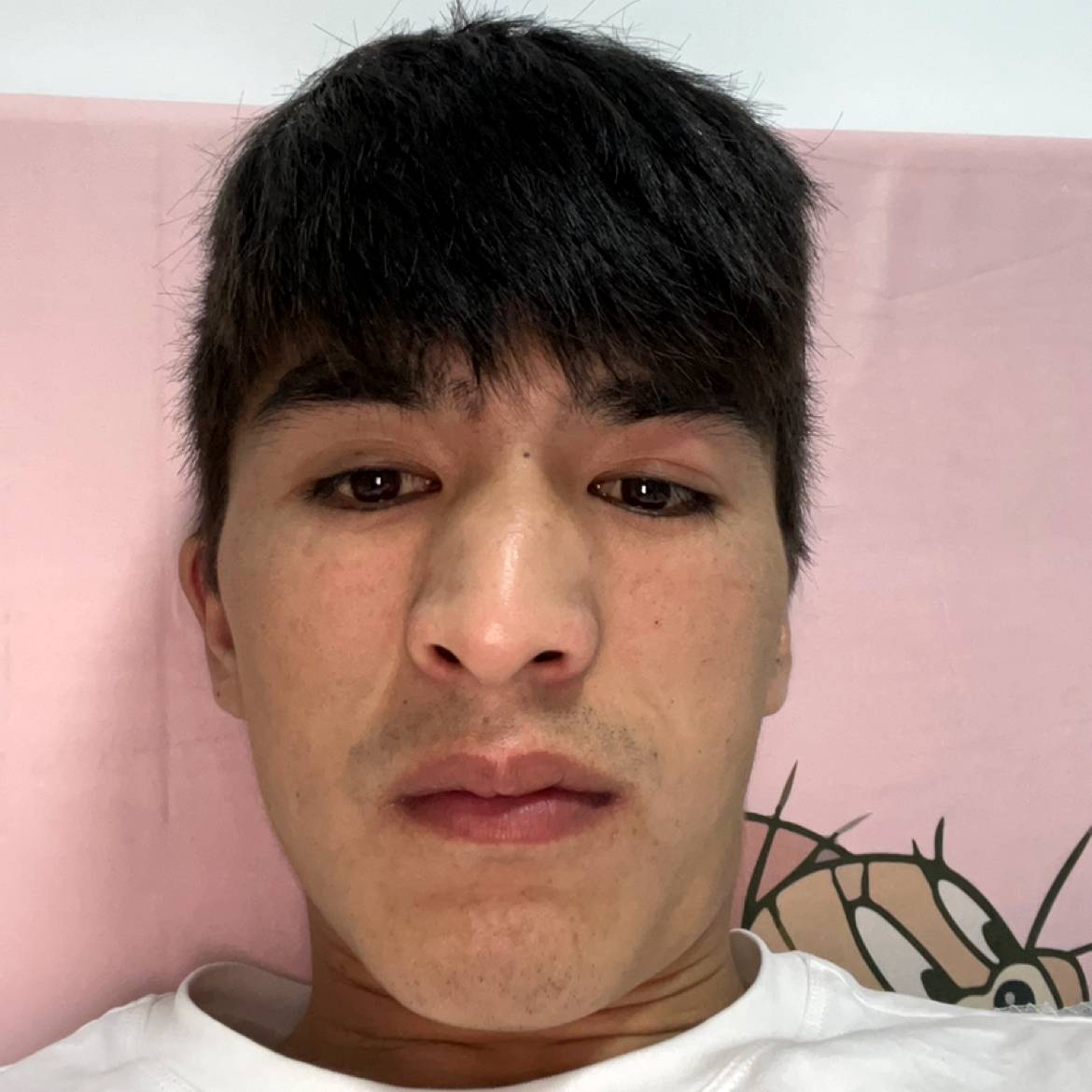 毛衣迎矮小的照片