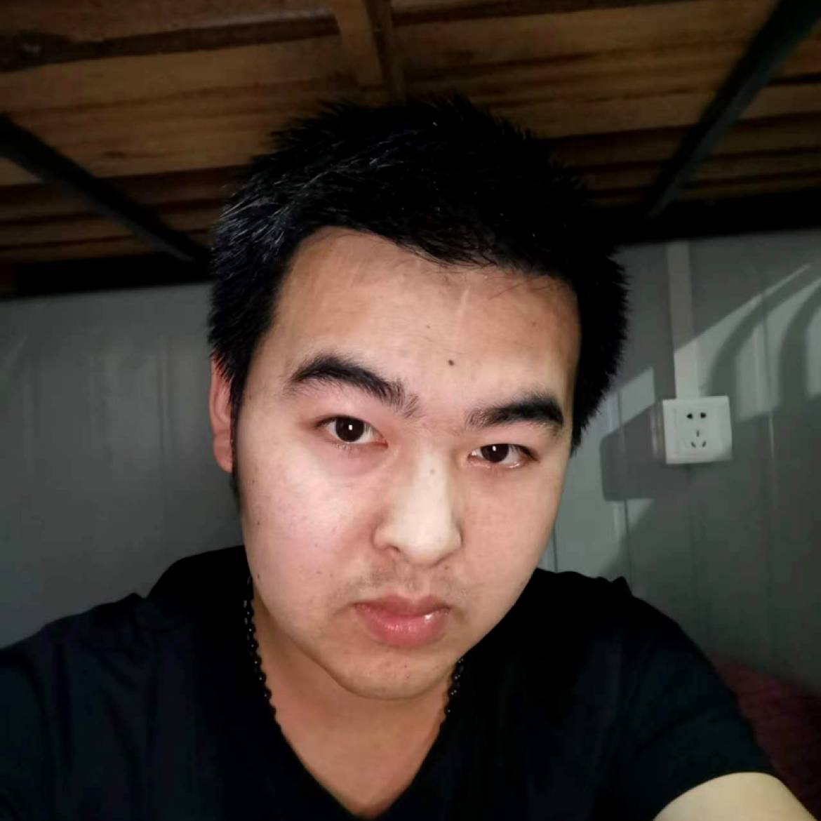 聪明的二哈的照片