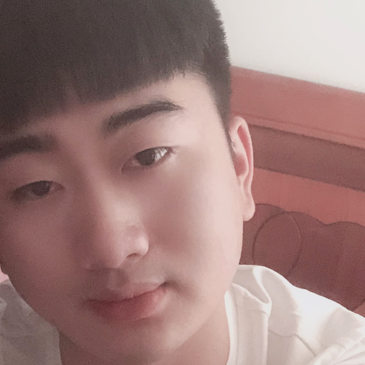 活力有蝶衣的照片
