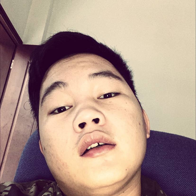 陌上爱惊鸿的照片