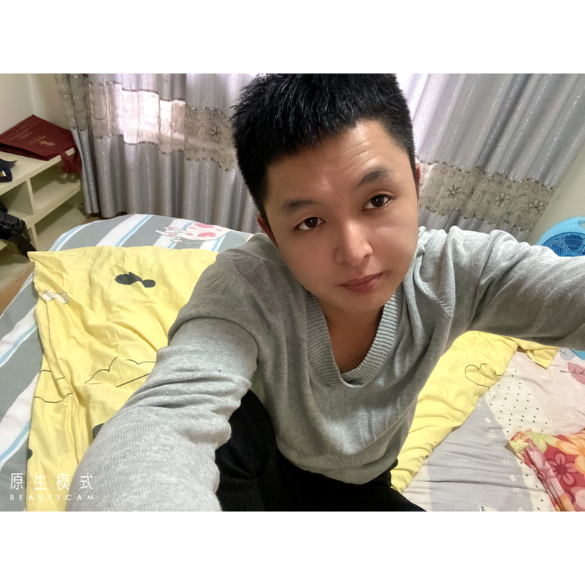 鸽子会生蛋的照片