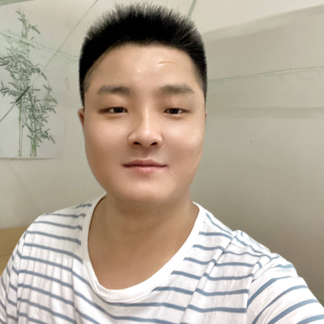 仙人掌漫步迷离的照片