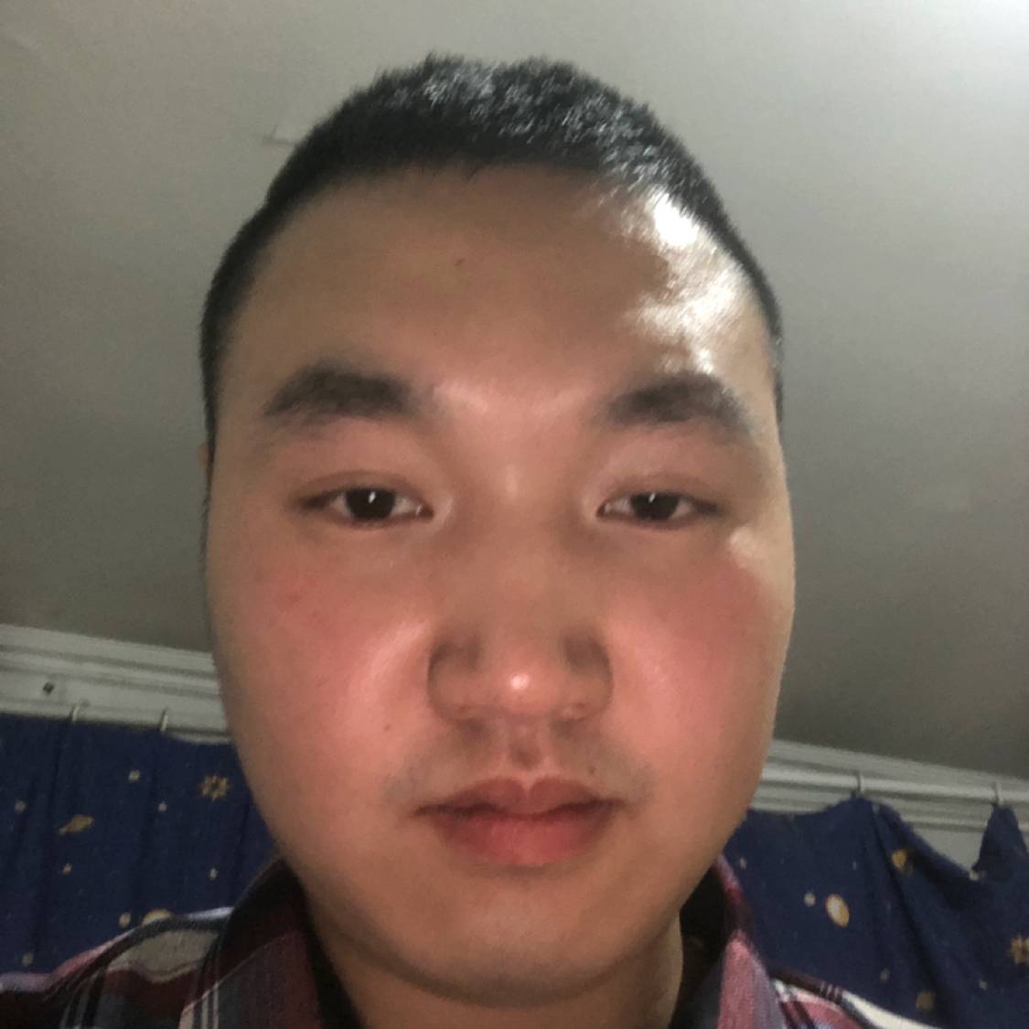 惊鸿健忘的照片