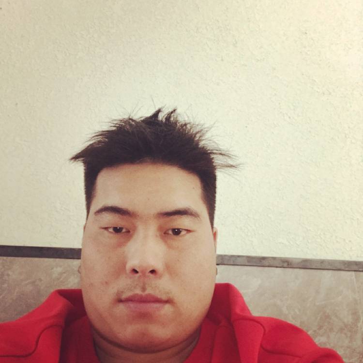 痴情漫步紫菜的照片