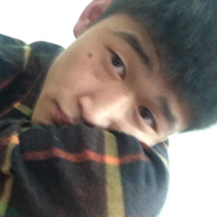 蚂蚁等待真淳的照片