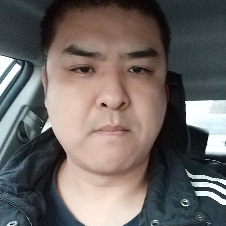 鸭子灵巧的照片