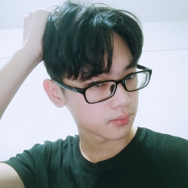 暗之翼的照片