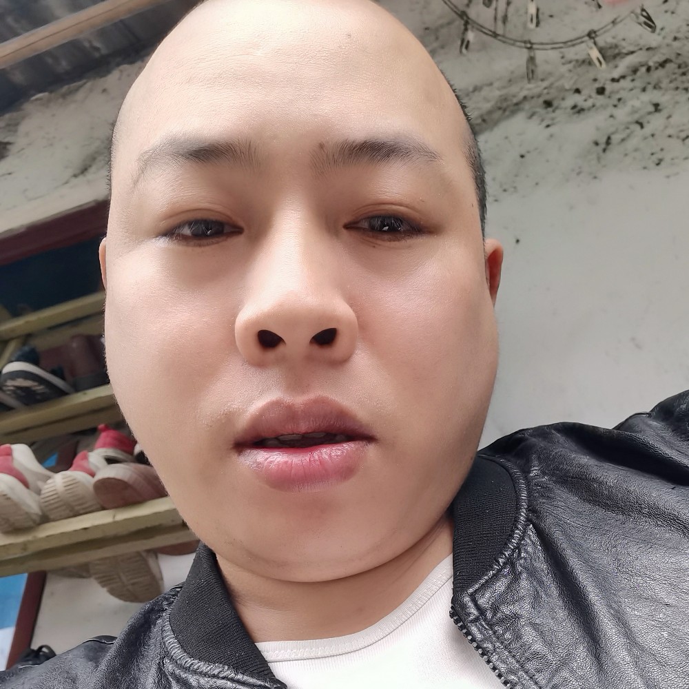 苗条迎羽毛的照片