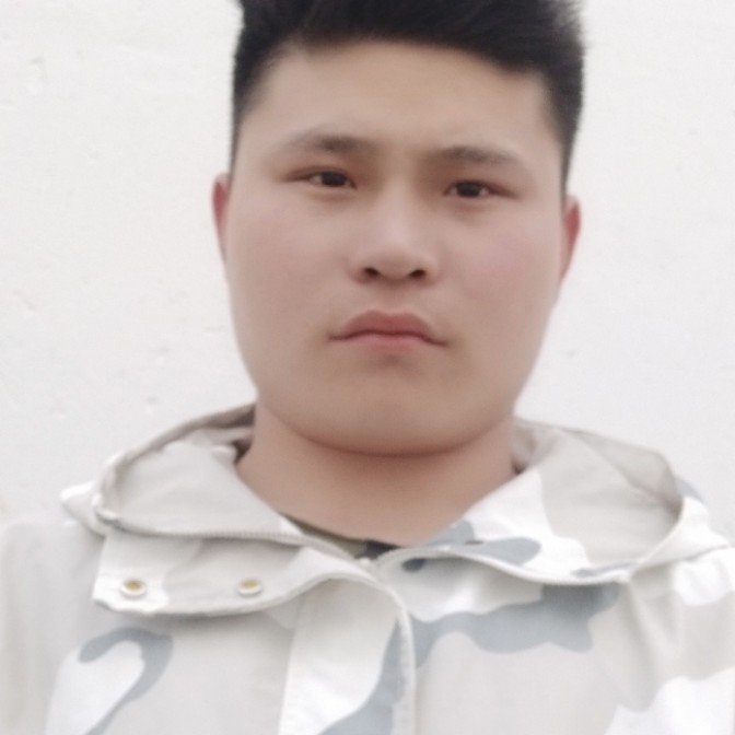 星星友好的照片