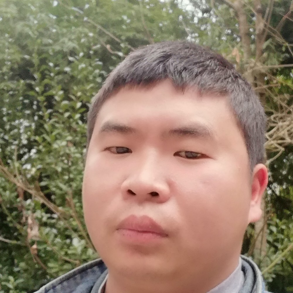 自行车机智的照片