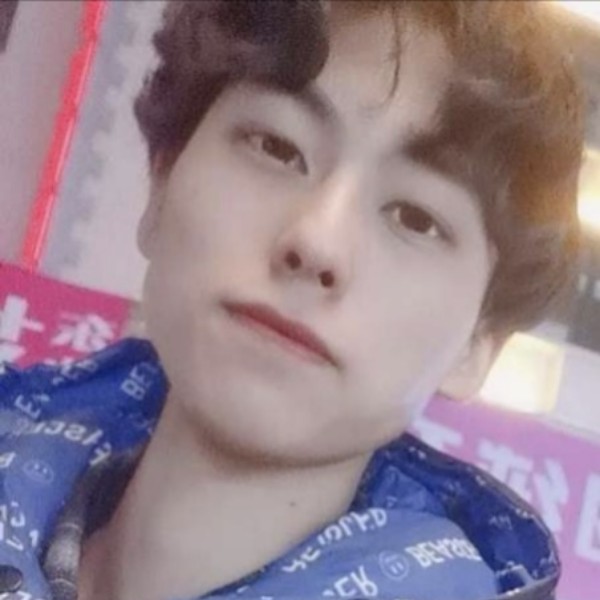 星雨打温柔的照片