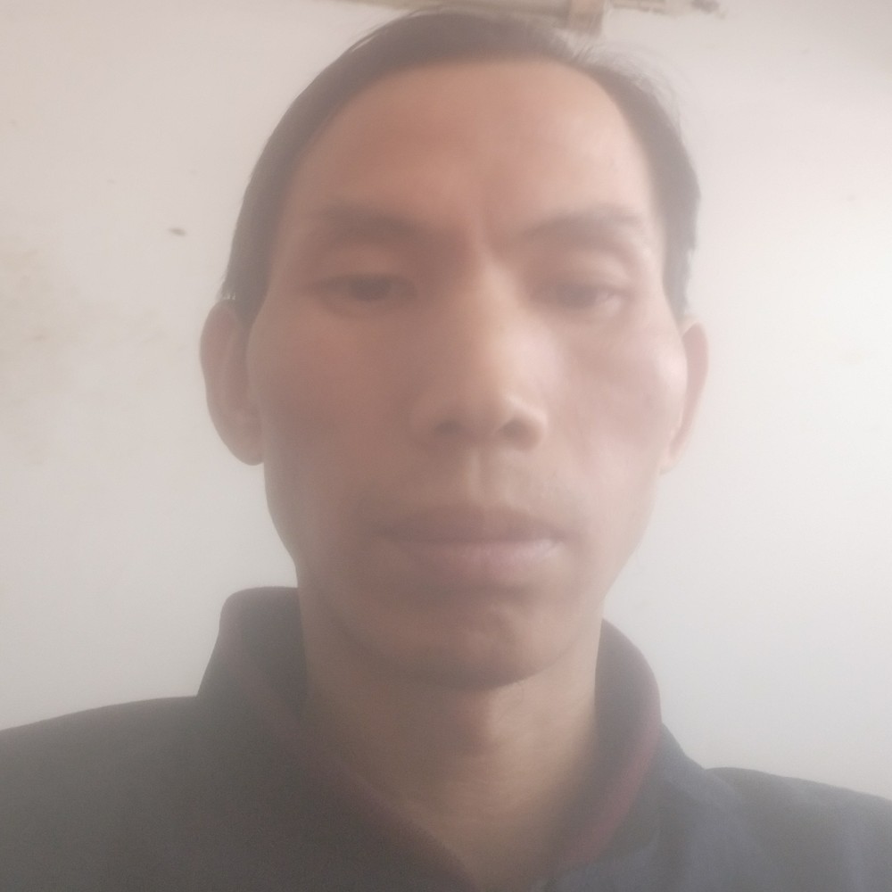 寻找爱情的心的照片