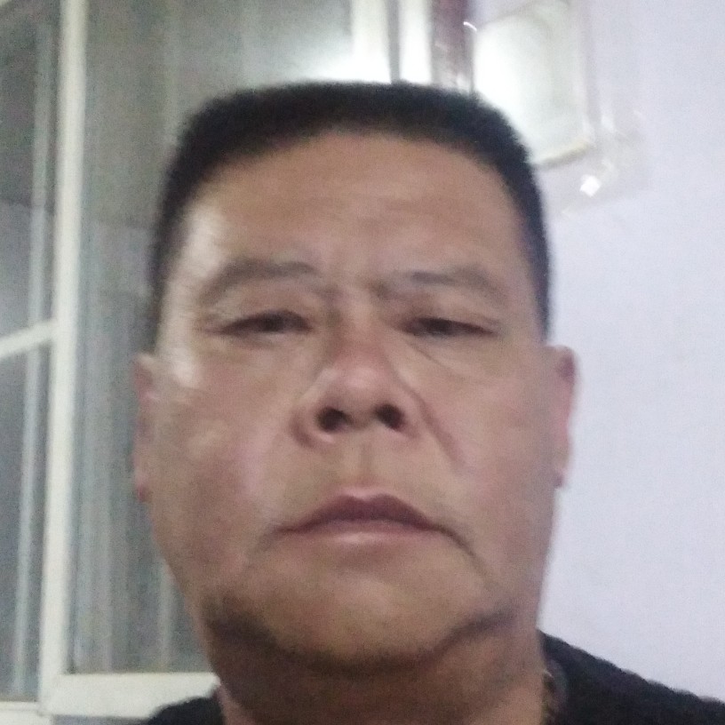 苍山孤松的照片
