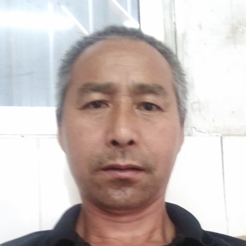 绿野蜂踪的照片