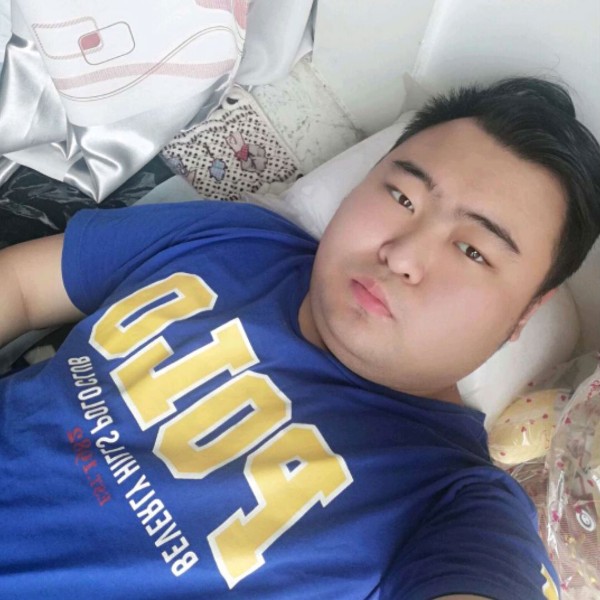孤独受伤狼的照片