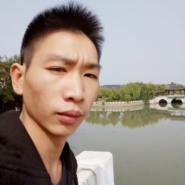 不解的龙猫的照片