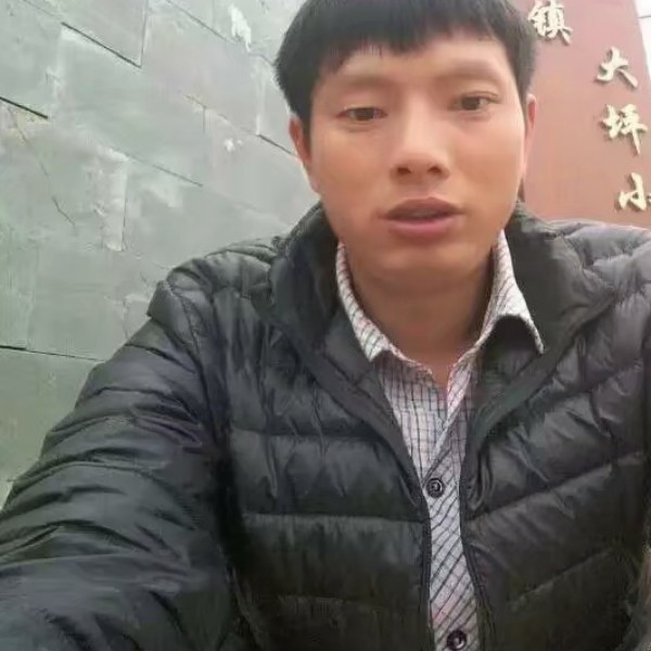 简单的真爱的照片