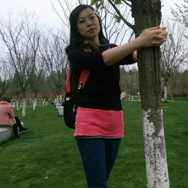 蚂蚁现代的照片