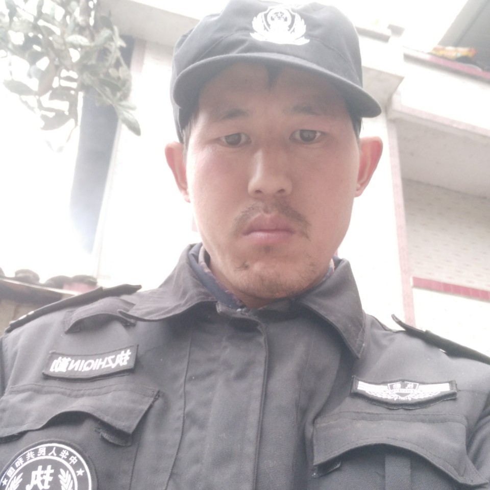 慈祥猫咪的照片
