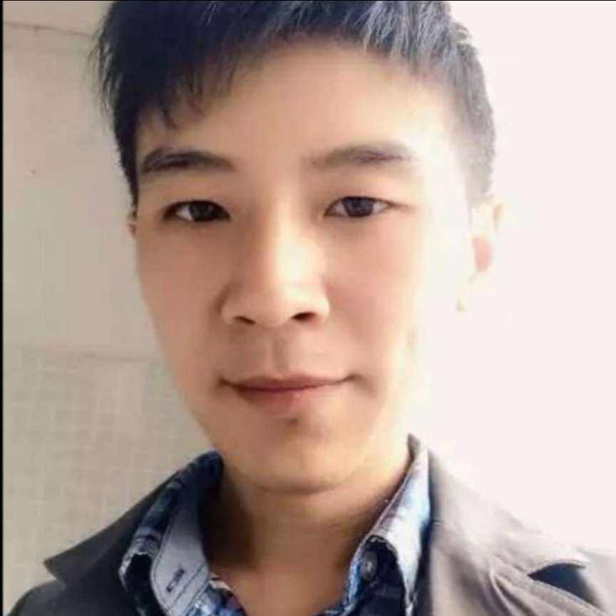 斑马给魔幻的照片