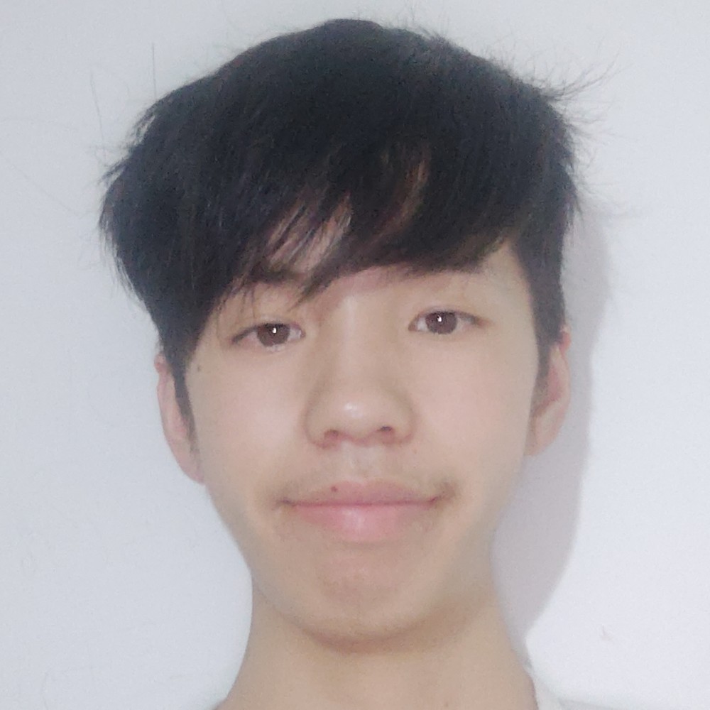 纯情踢板栗的照片