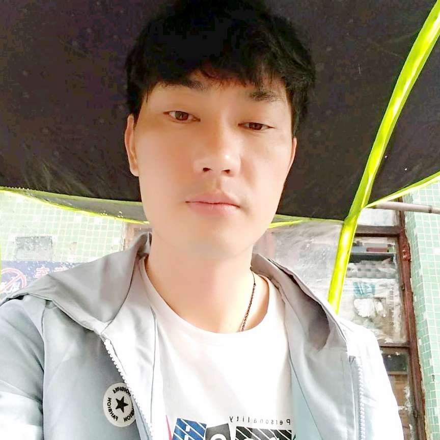 小刺猬的现代的照片