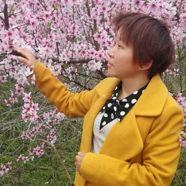 淡若薄秋的照片