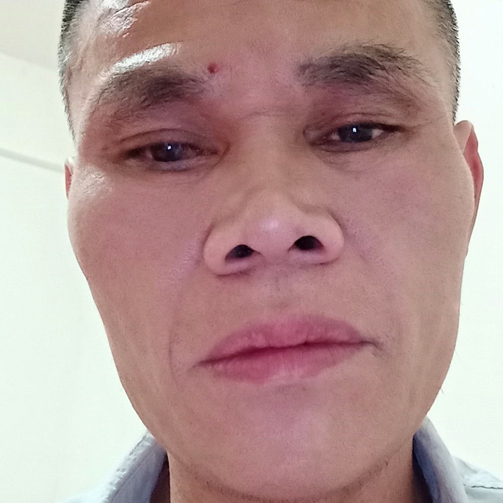红牛单纯的照片