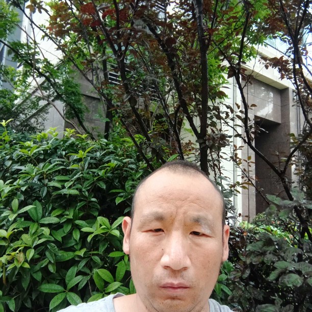 柜子挽手动人的照片