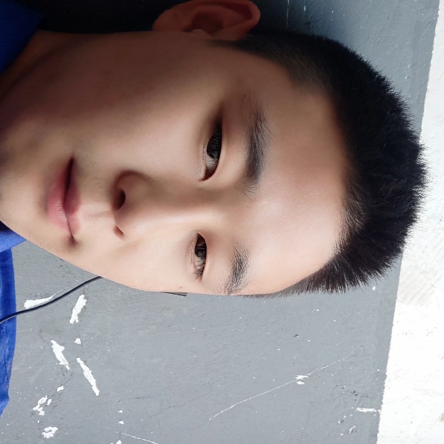 玫瑰老实的照片