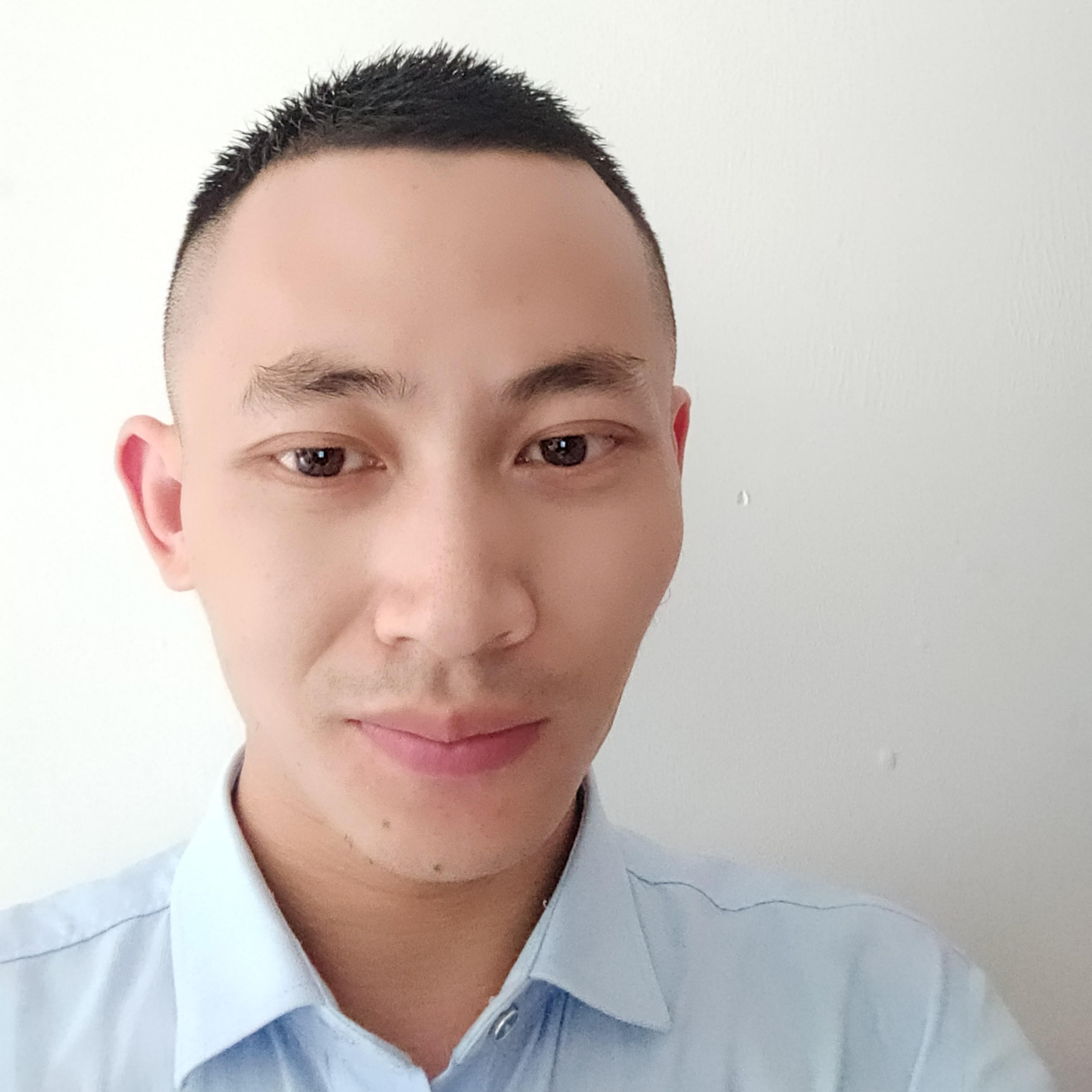 沉着的照片