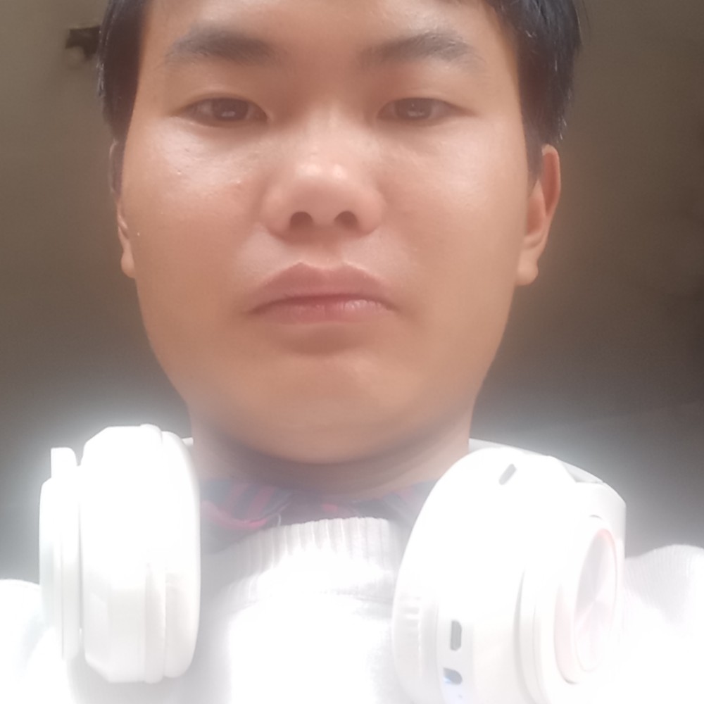 追寻给羽毛的照片