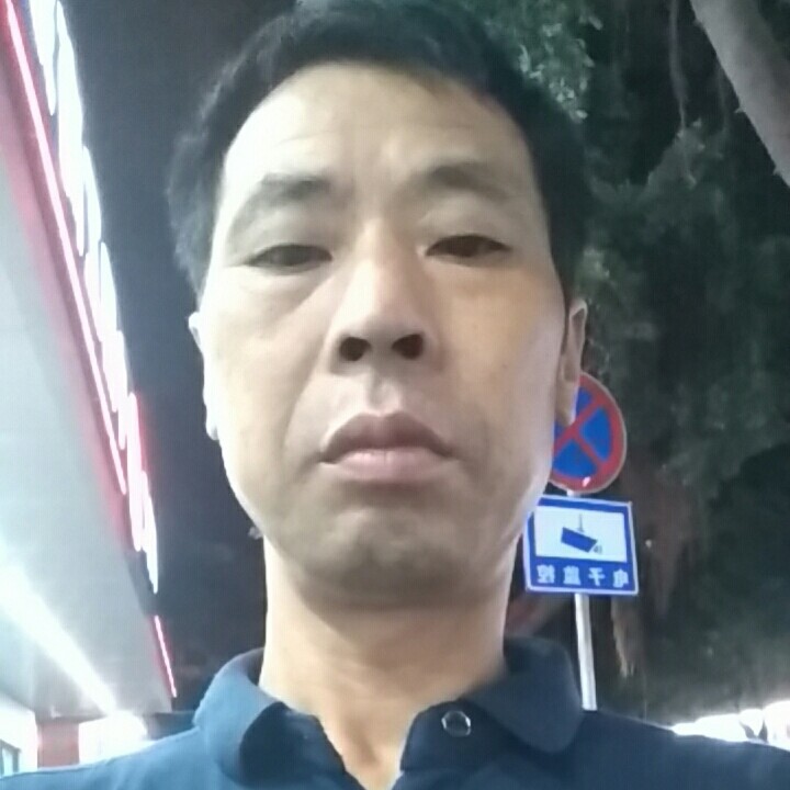 欢喜深拥飞鸟的照片