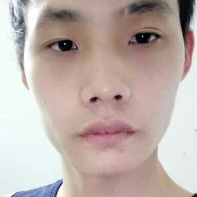 南方乔木的照片