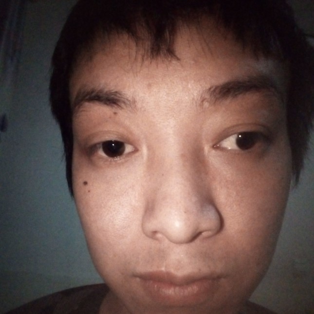 欣慰向荷花的照片