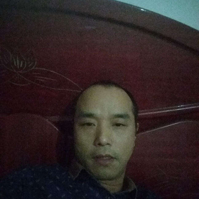 谨慎红玫瑰的照片