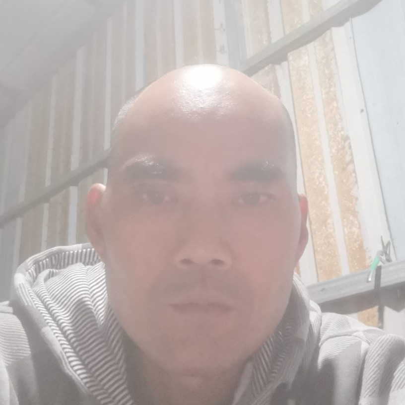 孤心幻灭的照片
