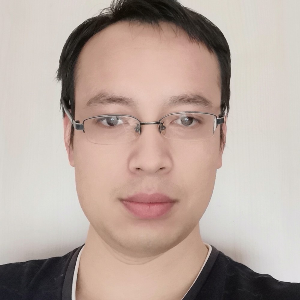 孤独的梧桐树的照片