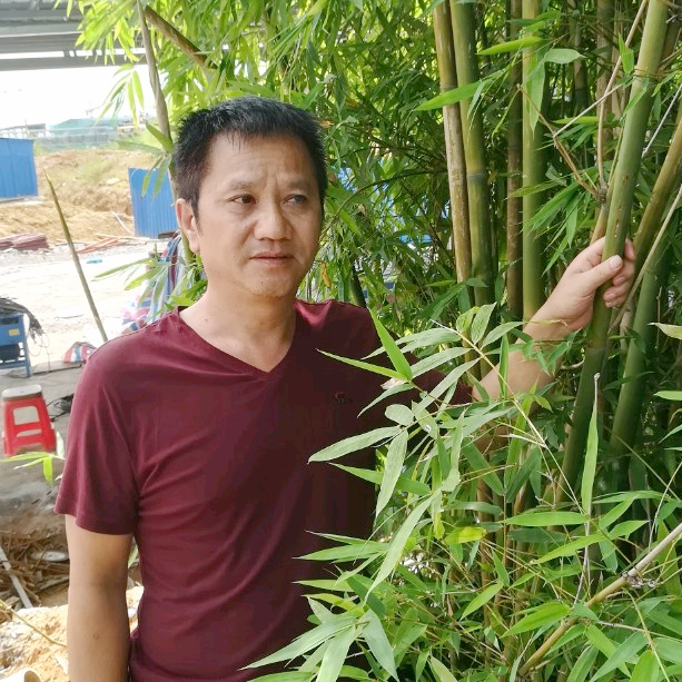 哪年七夕？的照片