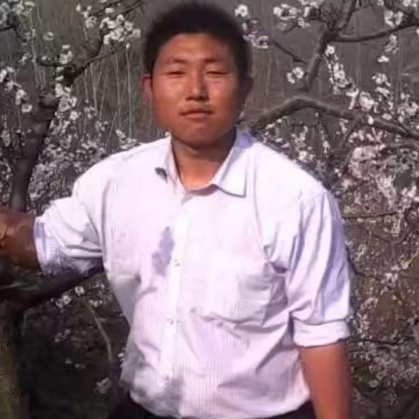 狂野黑夜的照片
