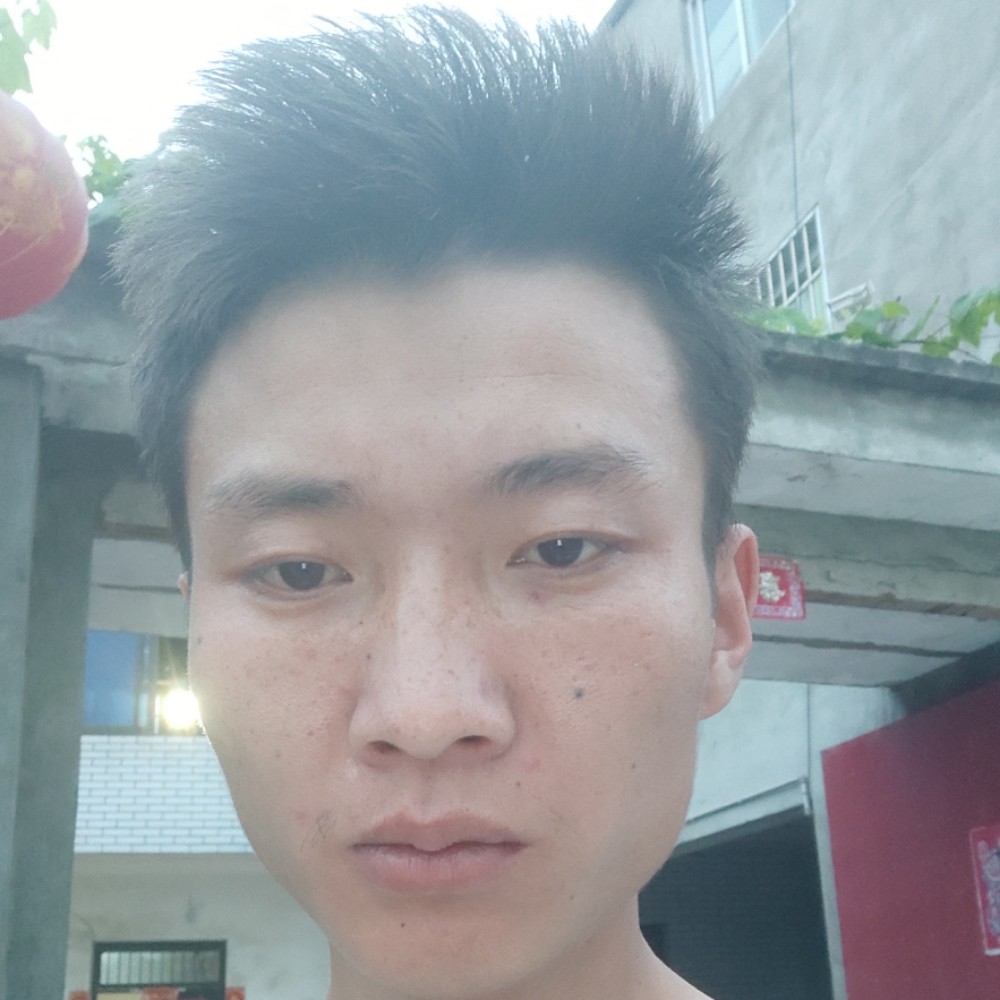 荷花倾心悦耳的照片