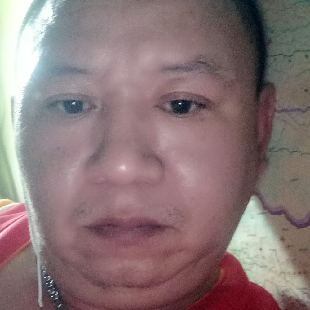 领头的金鱼的照片