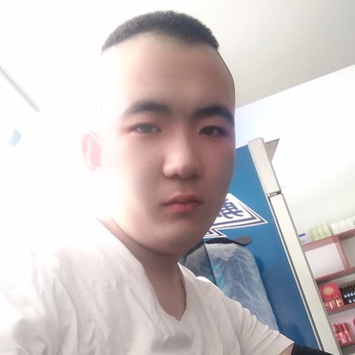 铅笔腼腆无的照片