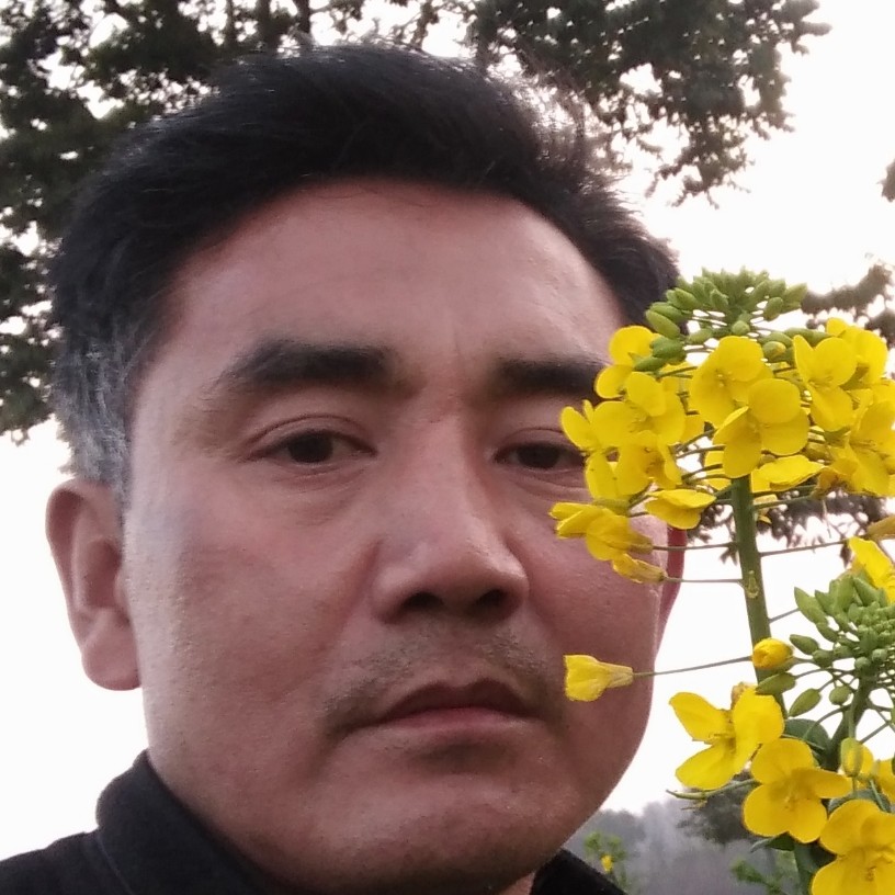 七六猪肉哥寻缘的照片